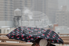 Winter Weather New York