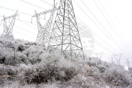 Winter Weather Tennessee