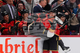 Golden Knights Senators Hockey