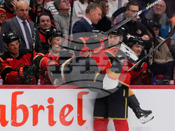 Golden Knights Senators Hockey