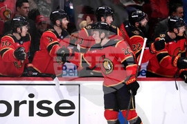 Golden Knights Senators Hockey