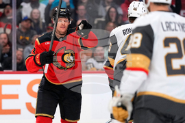 Golden Knights Senators Hockey