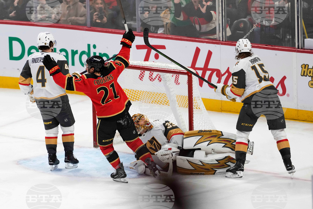 Golden Knights Senators Hockey