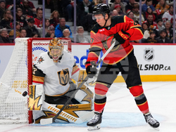 Golden Knights Senators Hockey