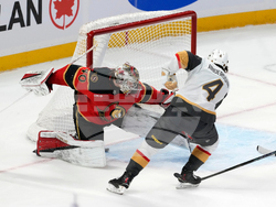 Golden Knights Senators Hockey