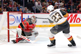 Golden Knights Senators Hockey