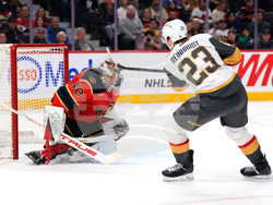 Golden Knights Senators Hockey