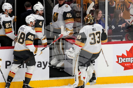 Golden Knights Senators Hockey