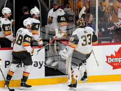 Golden Knights Senators Hockey