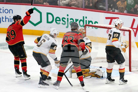 Golden Knights Senators Hockey