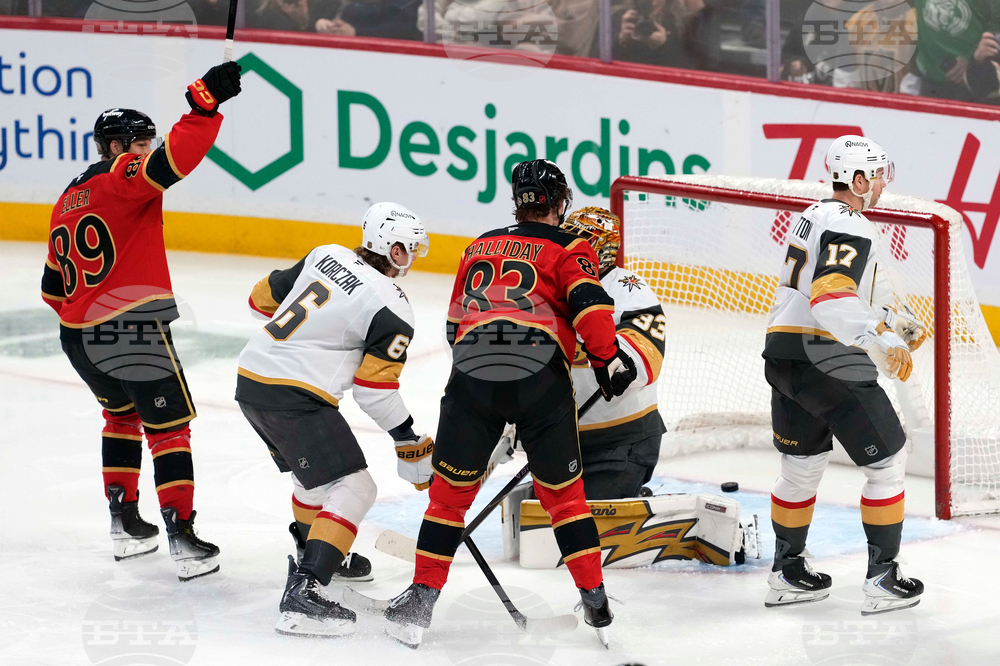 Golden Knights Senators Hockey