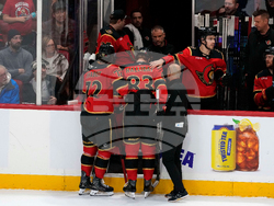 Golden Knights Senators Hockey