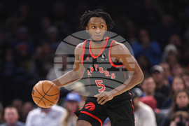 Raptors Thunder Basketball