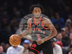 Raptors Thunder Basketball