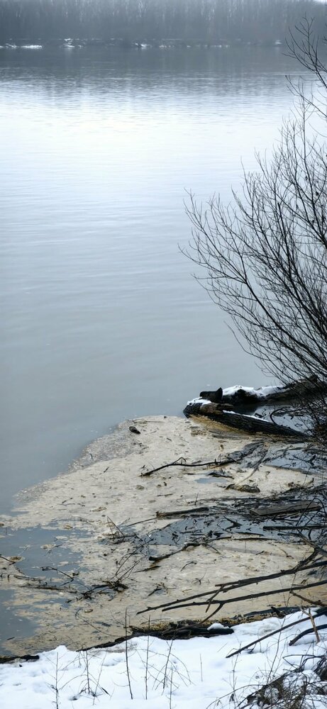 Областна администрация Русе: Мазно петно по река Дунав край бреговете на Мартен