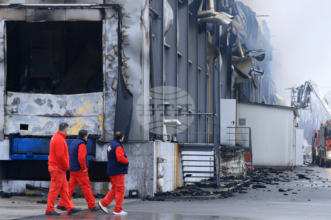 Най-малко четирима души са загинали при експлозия и пожар в завод за храни в Гърция 