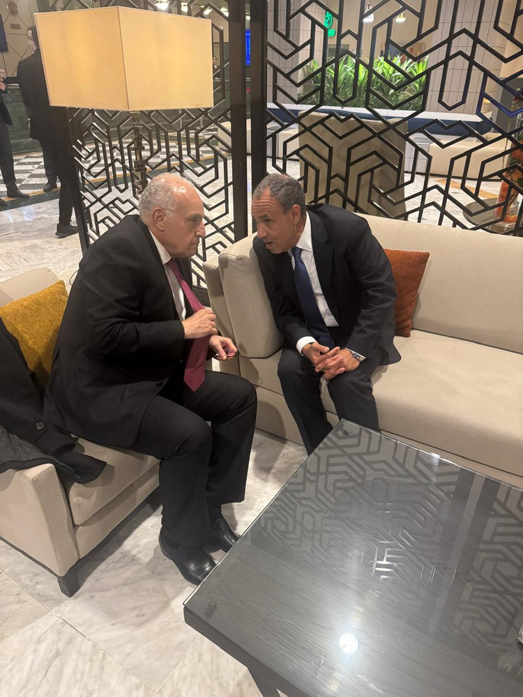 МЕНА: Външните министри на Египет и Алжир обсъдиха регионалните въпроси