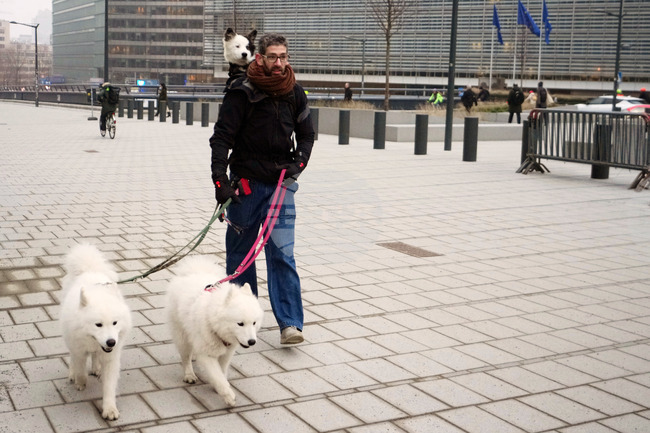 Belgium EU Daily Life