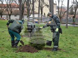 Снимка: Община Разград