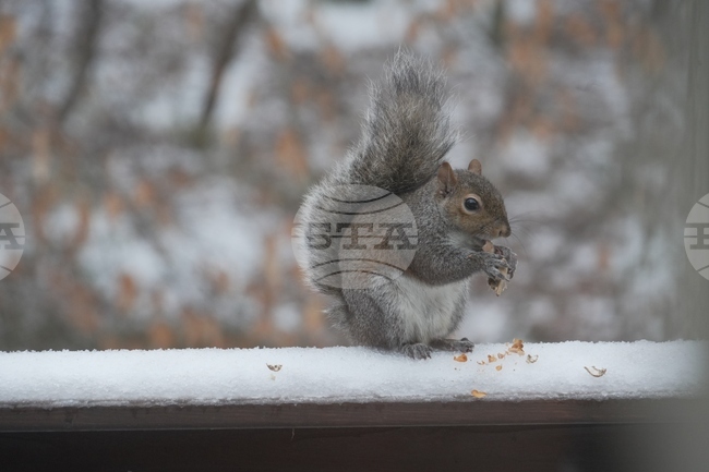 Winter Weather North Carolina