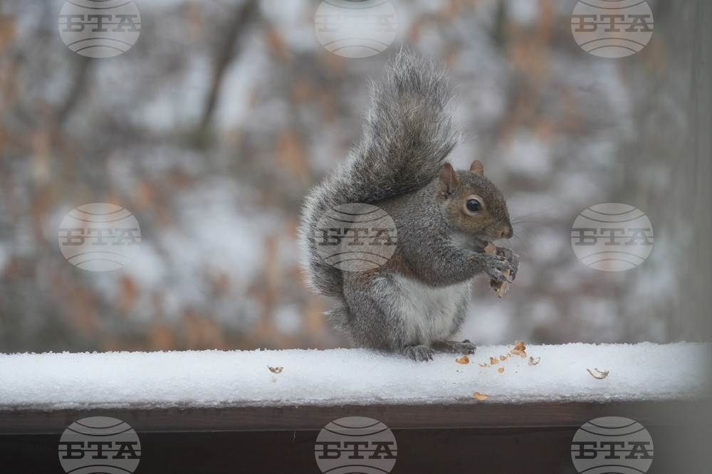Winter Weather North Carolina