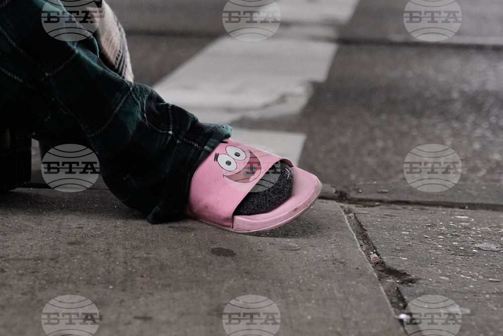 Winter Weather New Orleans