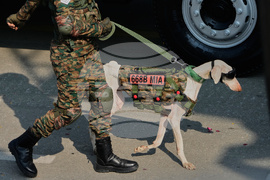 APTOPIX India Republic Day