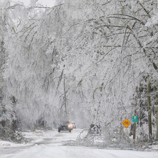 Мачът от НХЛ между Кълъмбъс и Лос Анджелис e отложен поради лоши метеорологични условия