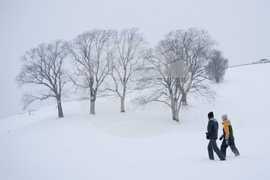 Winter Weather Halifax