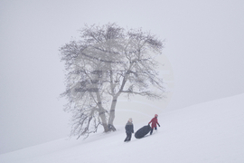 Winter Weather Halifax