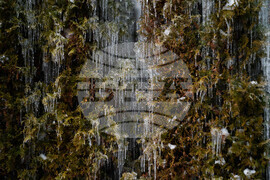 Winter Weather Washington