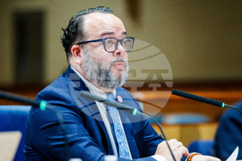 Federal Enforcement New Orleans