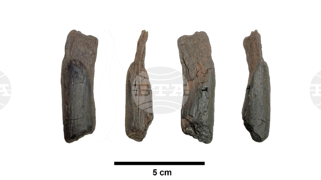 Учени откриха най-старите дървени инструменти на археологически обект в Гърция