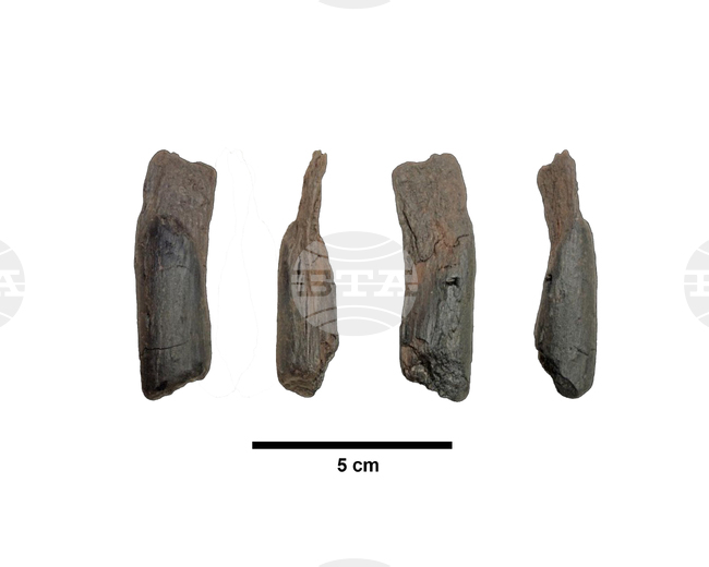 Учени откриха най-старите дървени инструменти на археологически обект в Гърция