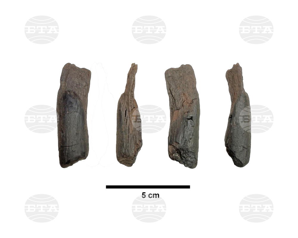 Oldest Wooden Tools