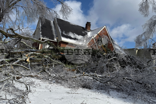 Winter Weather Tennessee