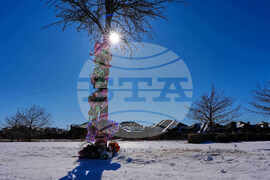 Winter Weather Texas