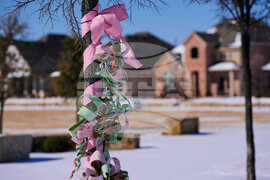 Winter Weather Texas