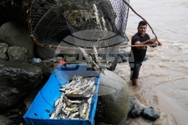 APTOPIX Colombia Fishing