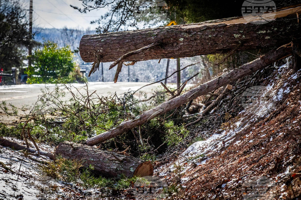 Winter Weather Aabama