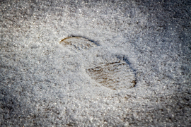 Winter Weather Aabama