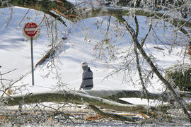 Winter Weather Mississippi