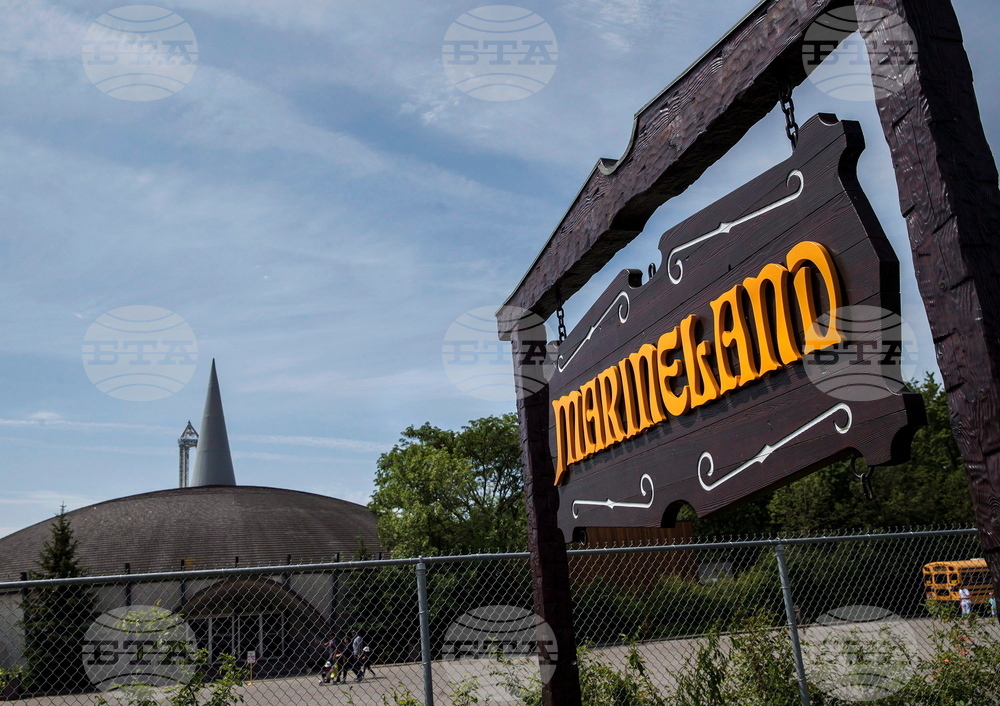 Canada Whales Marineland
