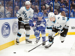 Mammoth Lightning Hockey