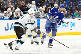 Mammoth Lightning Hockey