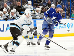 Mammoth Lightning Hockey