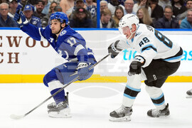 Mammoth Lightning Hockey