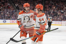 Ducks Oilers Hockey