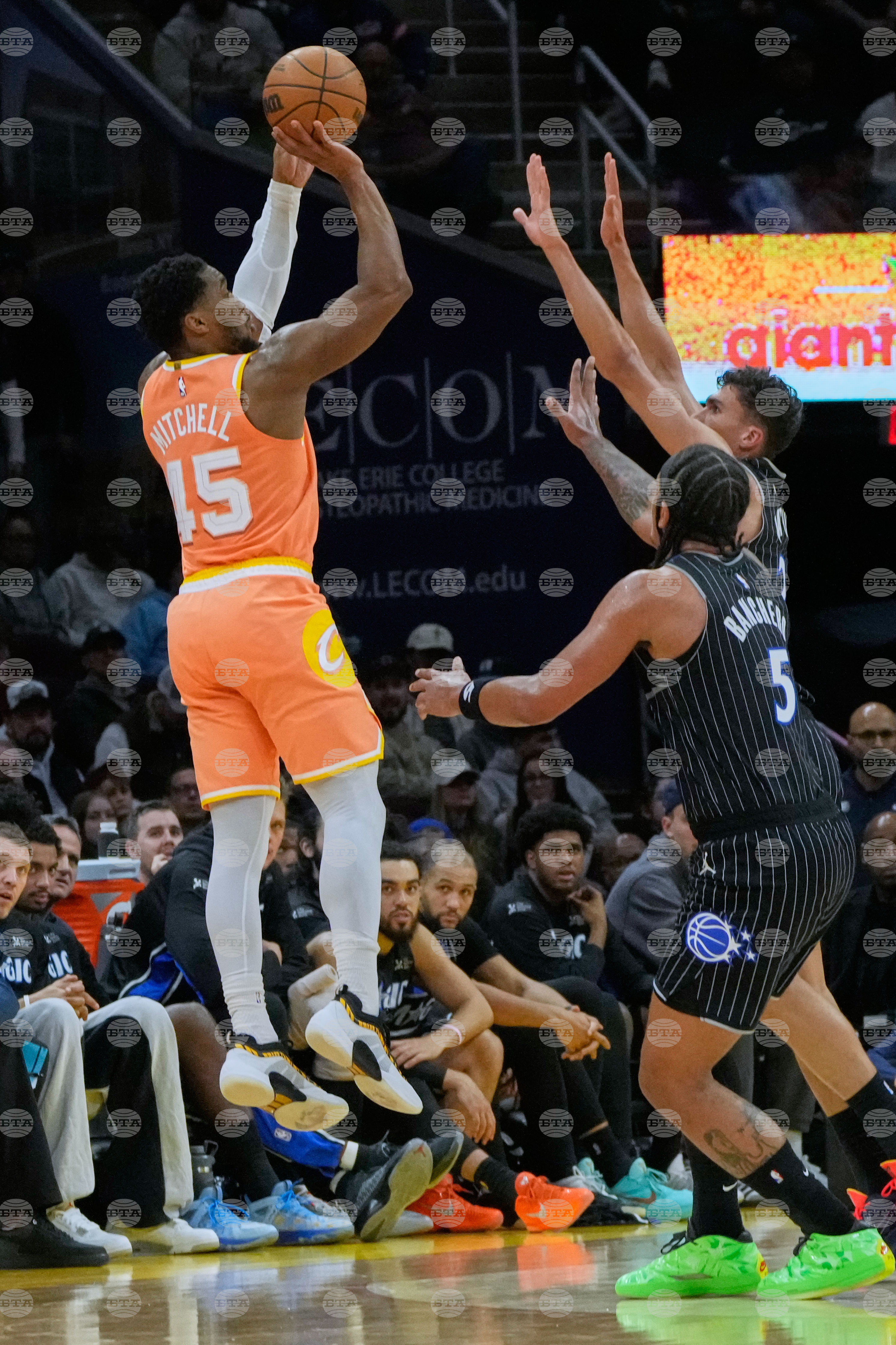 Magic Cavaliers Basketball