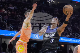 Magic Cavaliers Basketball